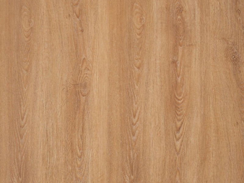 RealWood Glue AF6052
