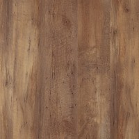 Classic Glue AF5503